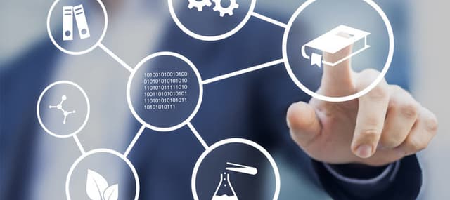 Popular Fields of Study