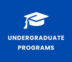 Undergraduate Programs
